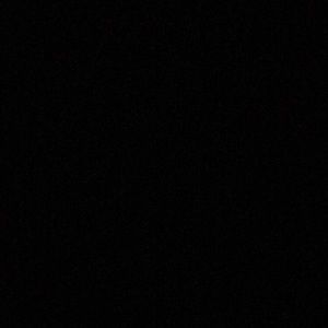 Meet your Posher, Jerry